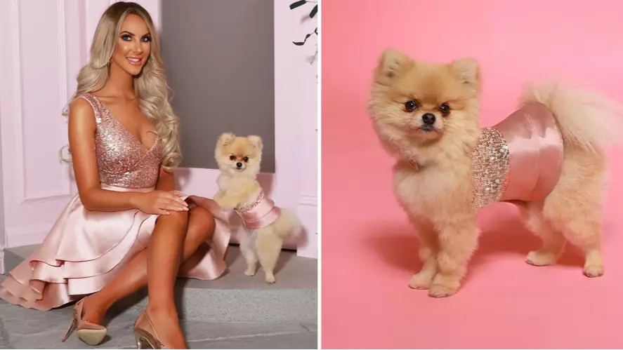 You Can Now Buy Matching Party Dresses For You And Your Pooch
