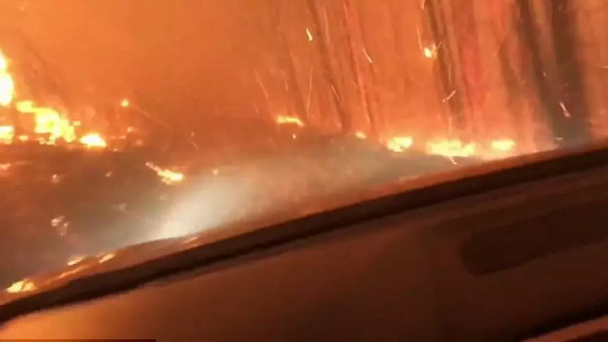 Dad And Son Try To Escape Forest Fire In Terrifying Near Death Drive