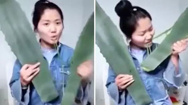 Chinese Vlogger Accidentally Poisons Herself On Livestream