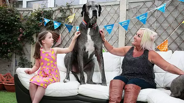 World's Tallest Dog Freddy Has Died Aged 8