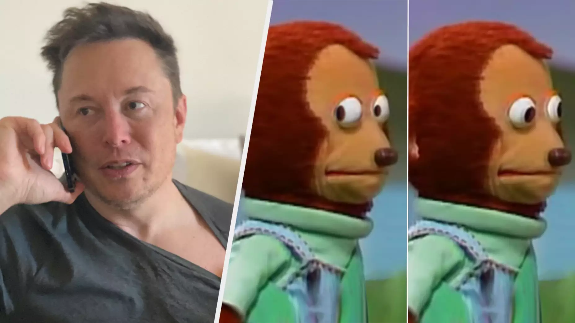 Elon Musk Attempts To Roast Gamers With A Rubbish Stolen Meme