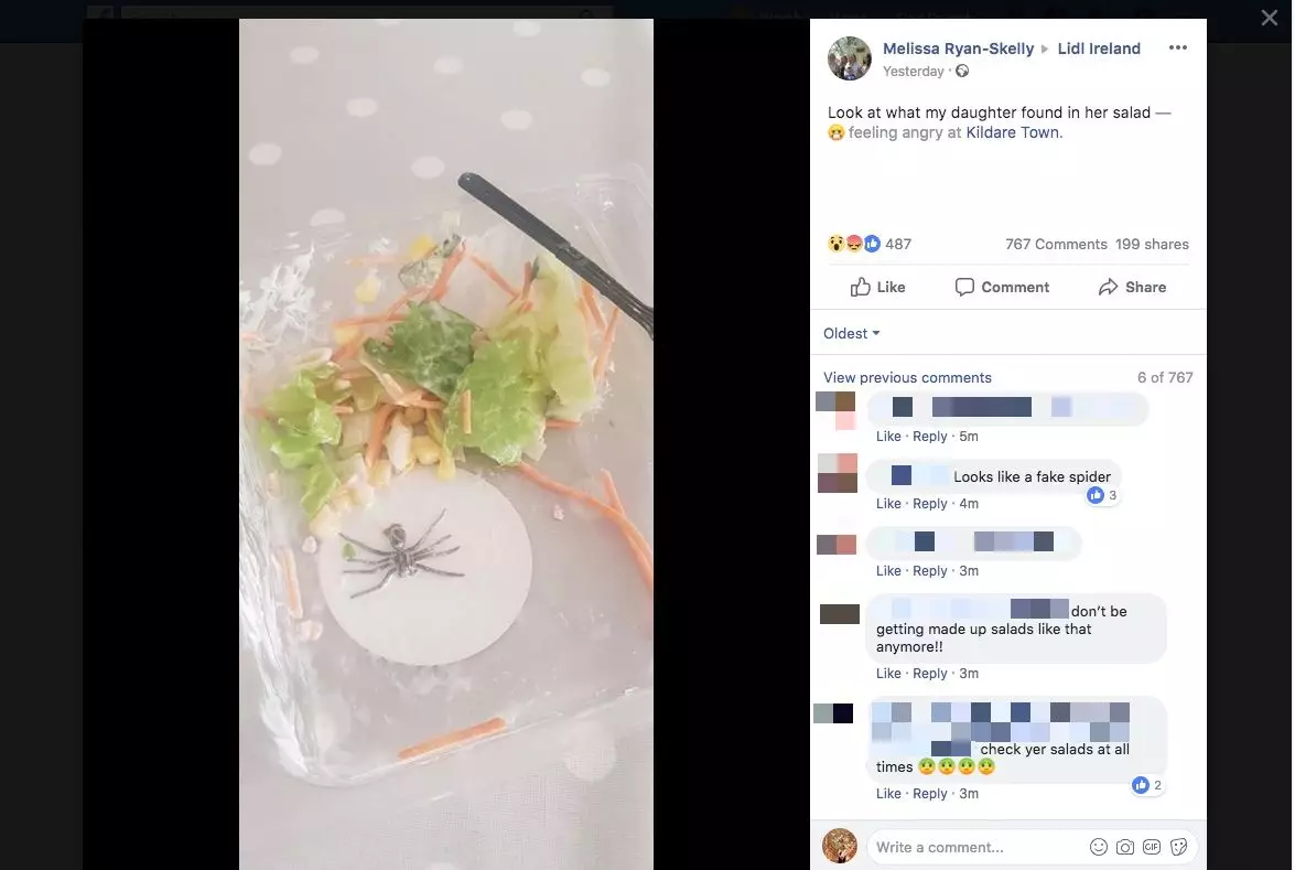 Melissa Ryan-Skelly was doubted on social media when she posted the picture to Lidl.
