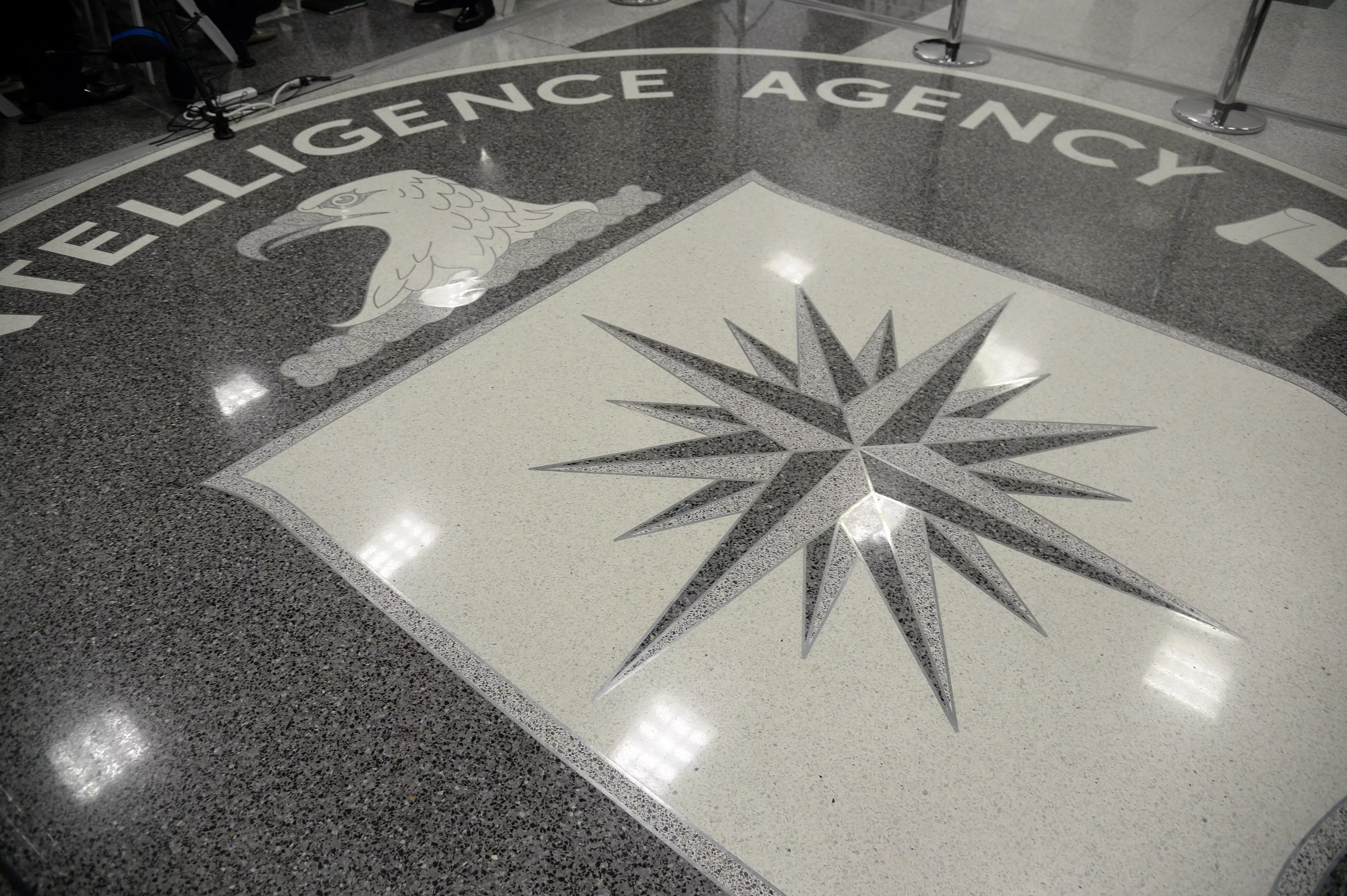 Greenewald says there's no way of verifying if the CIA has released all the documents it has.