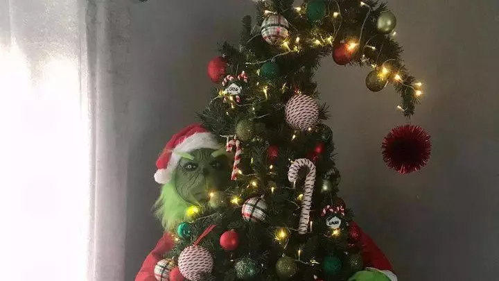 Mum Creates Incredible Grinch Christmas Tree For Just £35