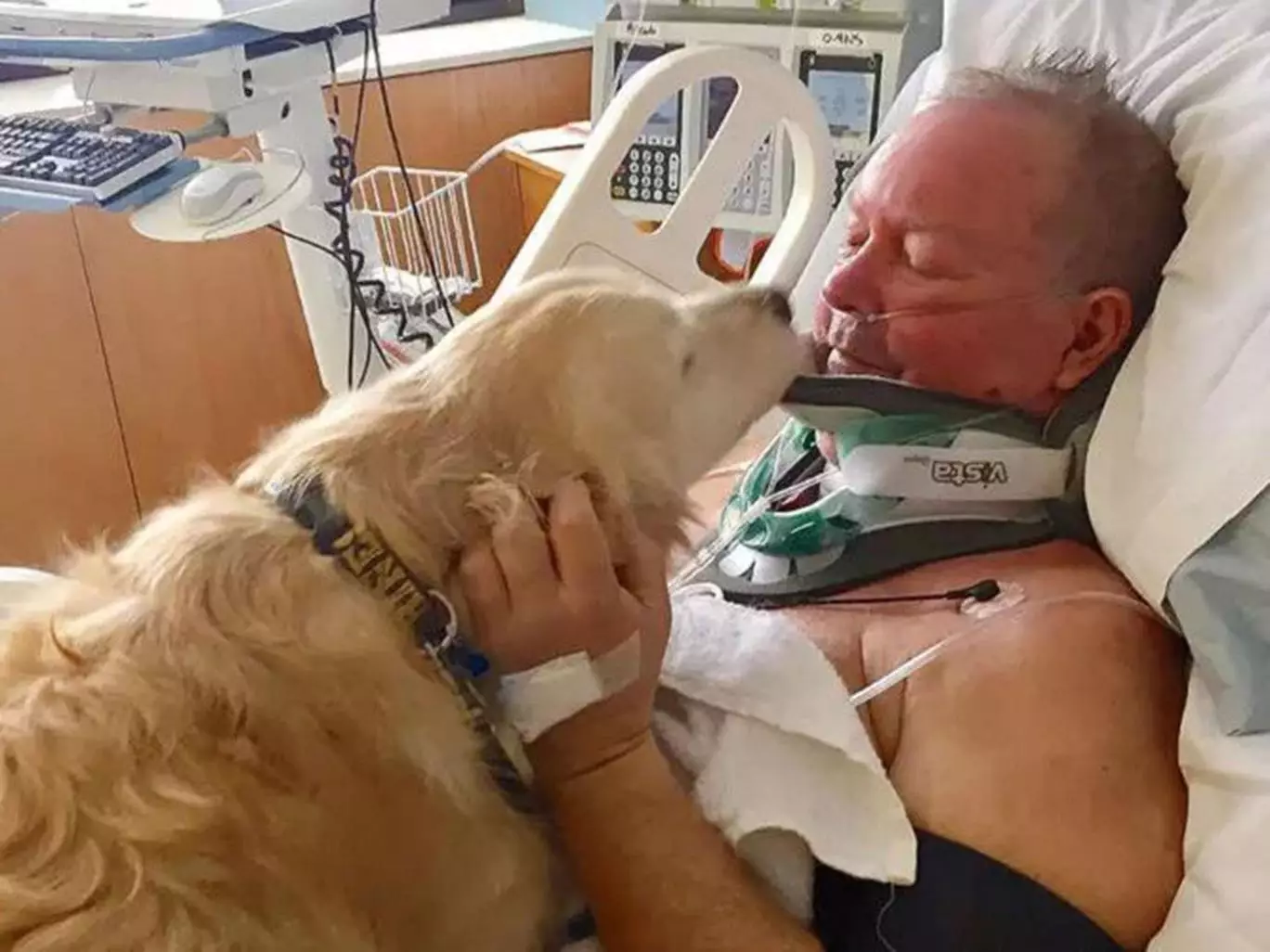 Hero Dog Saves Owner's Life By Lying On Him To Keep Him Warm For 24 Hours