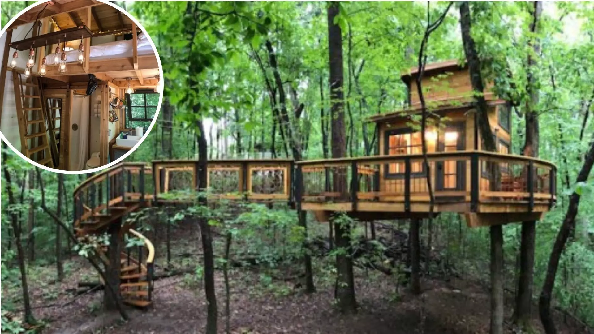 Man Builds Amazing Treehouse That Is Available On Airbnb