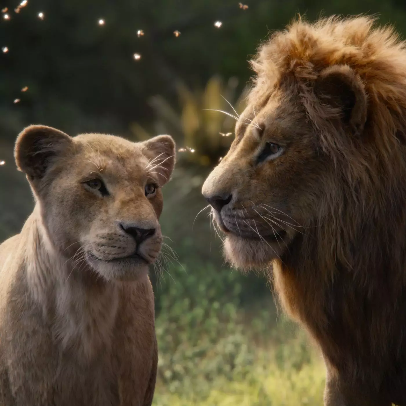 A sequel to the live-action remake of 'The Lion King' is in the works (