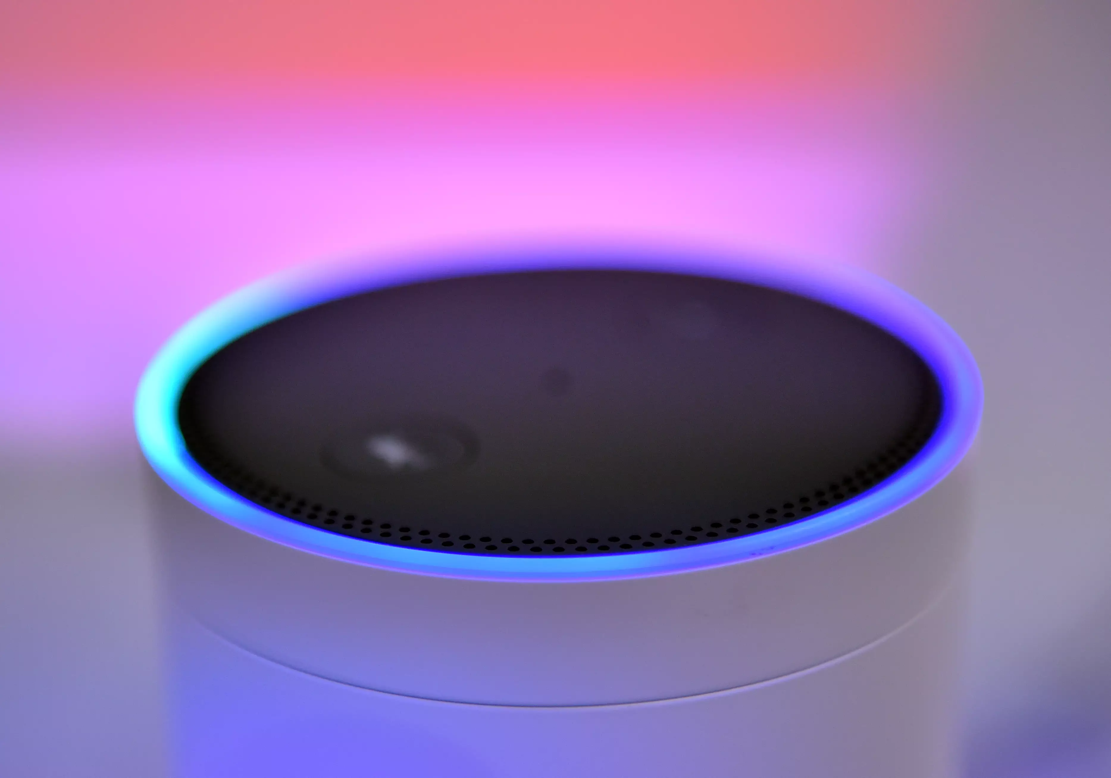The Amazon Alexa lit up blue alerting Bella of the post on its way (