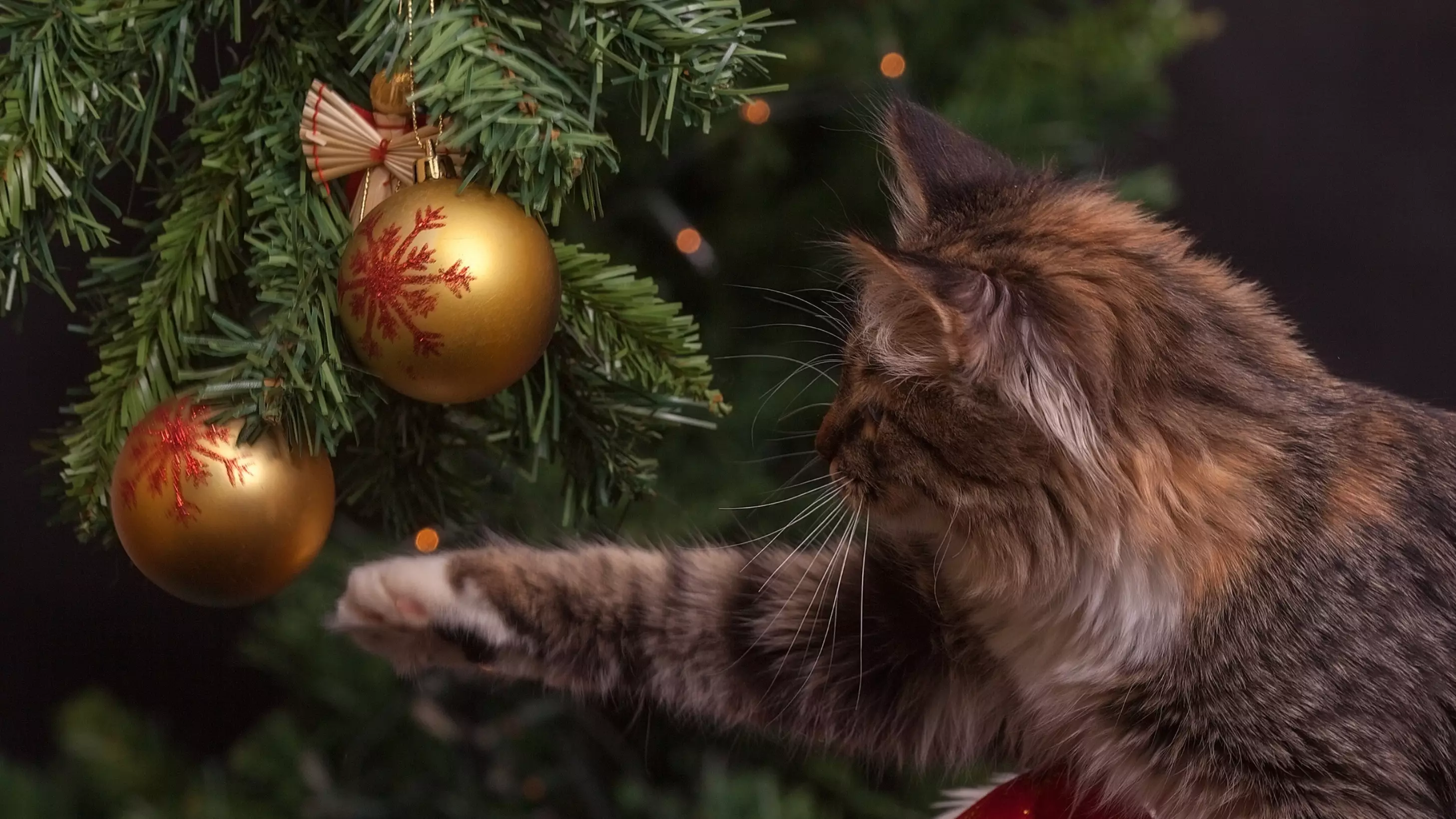 Argos Is Selling Half Christmas Trees For Cat Owners