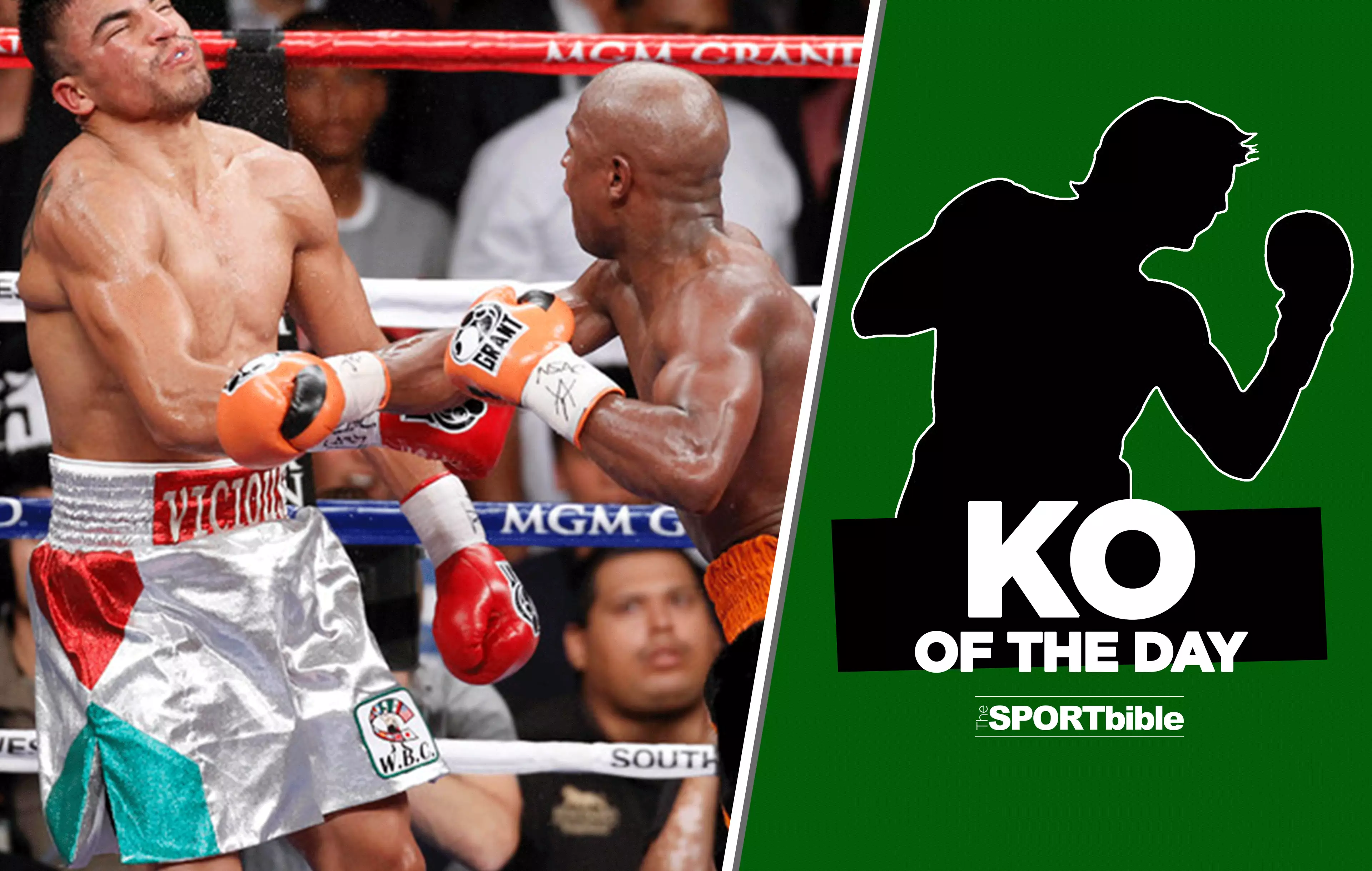 KO Of The Day: Floyd Mayweather's Infamous Sucker Punch 