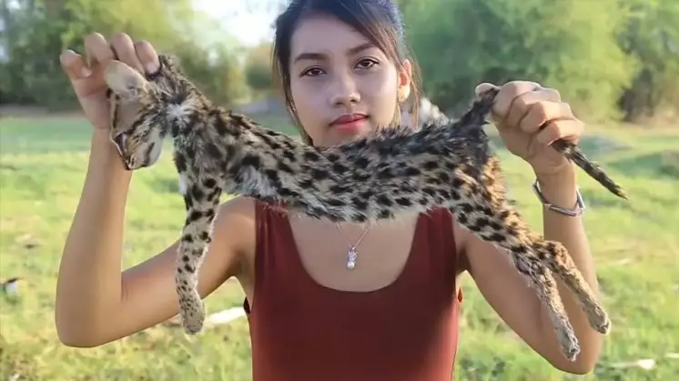Woman Arrested After Filming Herself Eating Endangered Cat 