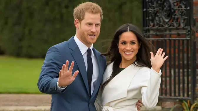 Prince Harry and Meghan stepped down from Royal duties last year (