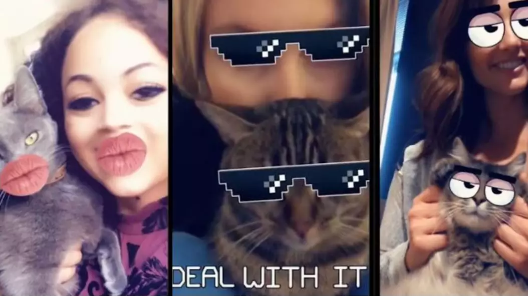 Snapchat Now Has Cat Lenses So Your Pet Can Share The Limelight