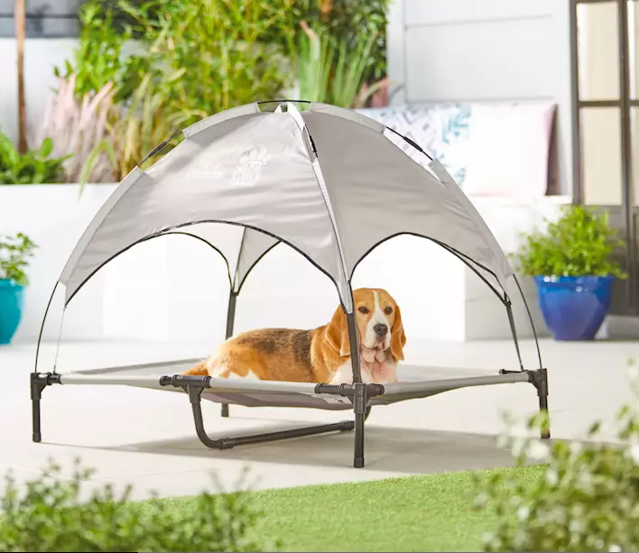 Dogs can now keep cool thanks to Aldi (