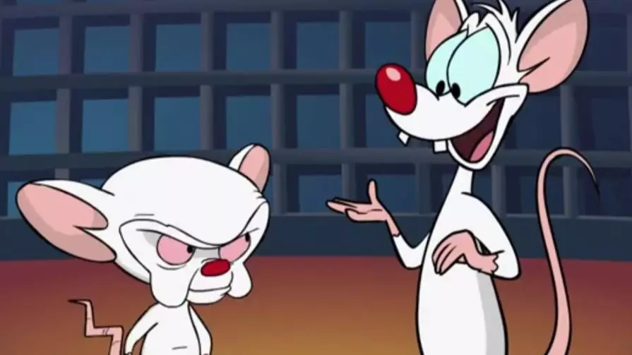 Pinky And The Brain Is Coming Back, Actor Rob Paulsen Confirms