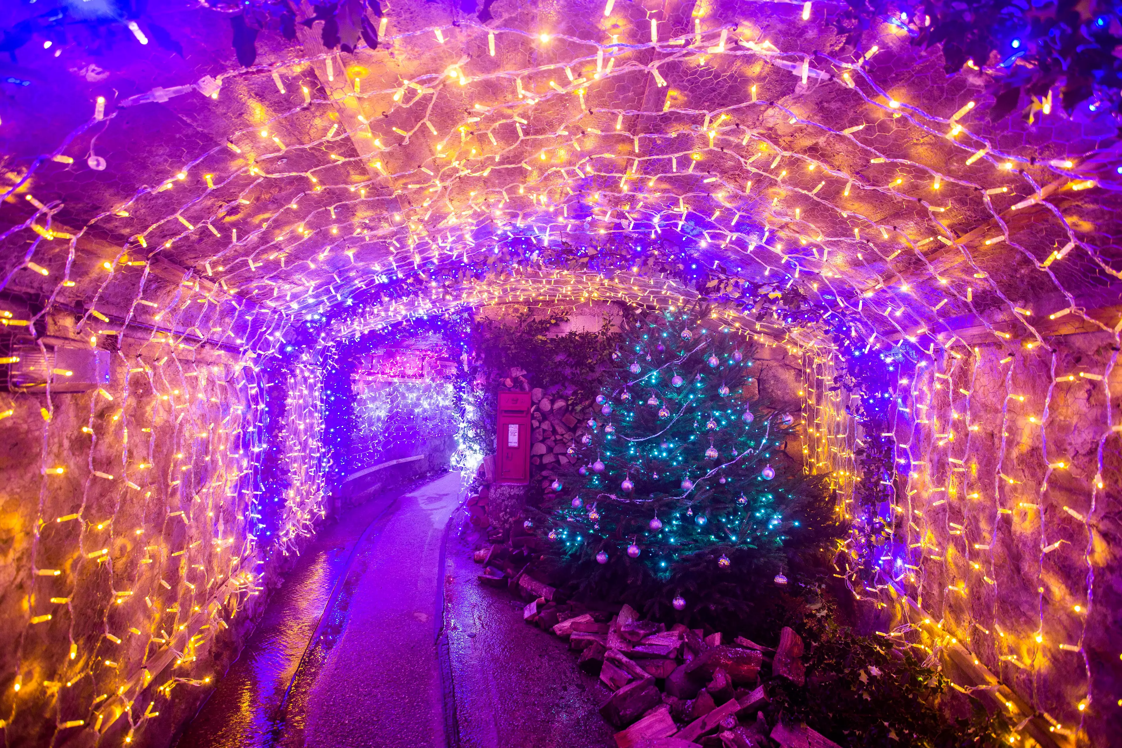 The UK's longest festive tunnel of lights has opened in Cornwall (