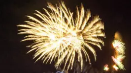 Thousands Call For Public Fireworks To Be Banned In The UK