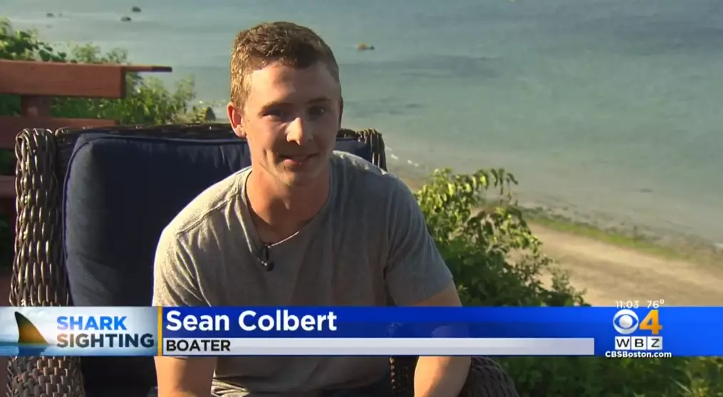 Sean Colbert spotted the gigantic shark in Cape Cod Bay, Massachusetts.
