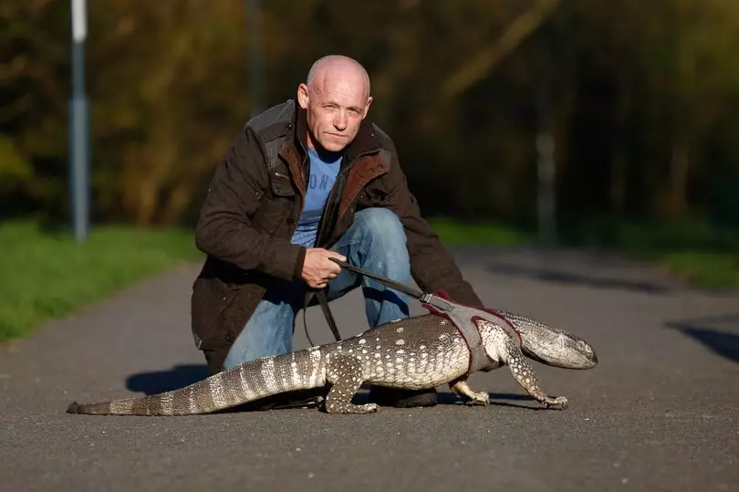 Man Told He Can Only Walk Giant 5ft Lizard On A Lead