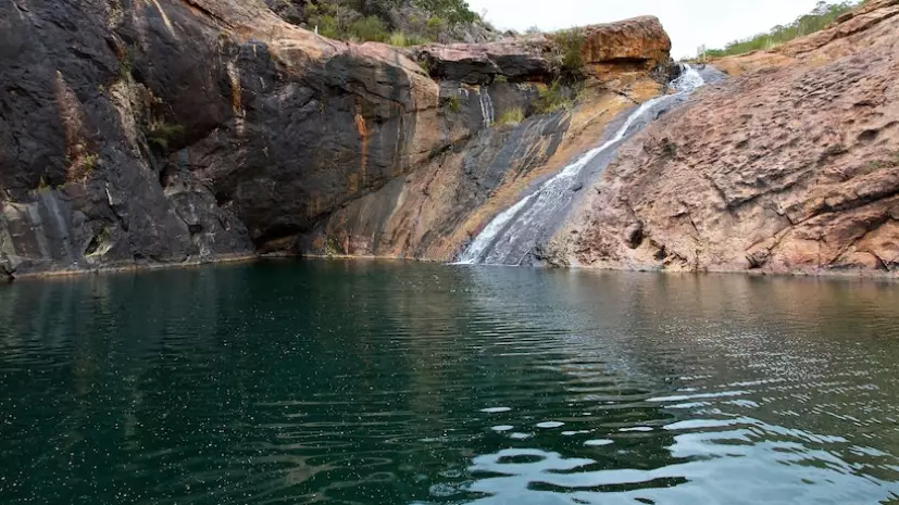 Popular Aussie Water Spot Shut Down After Brain-Eating Amoeba Discovered