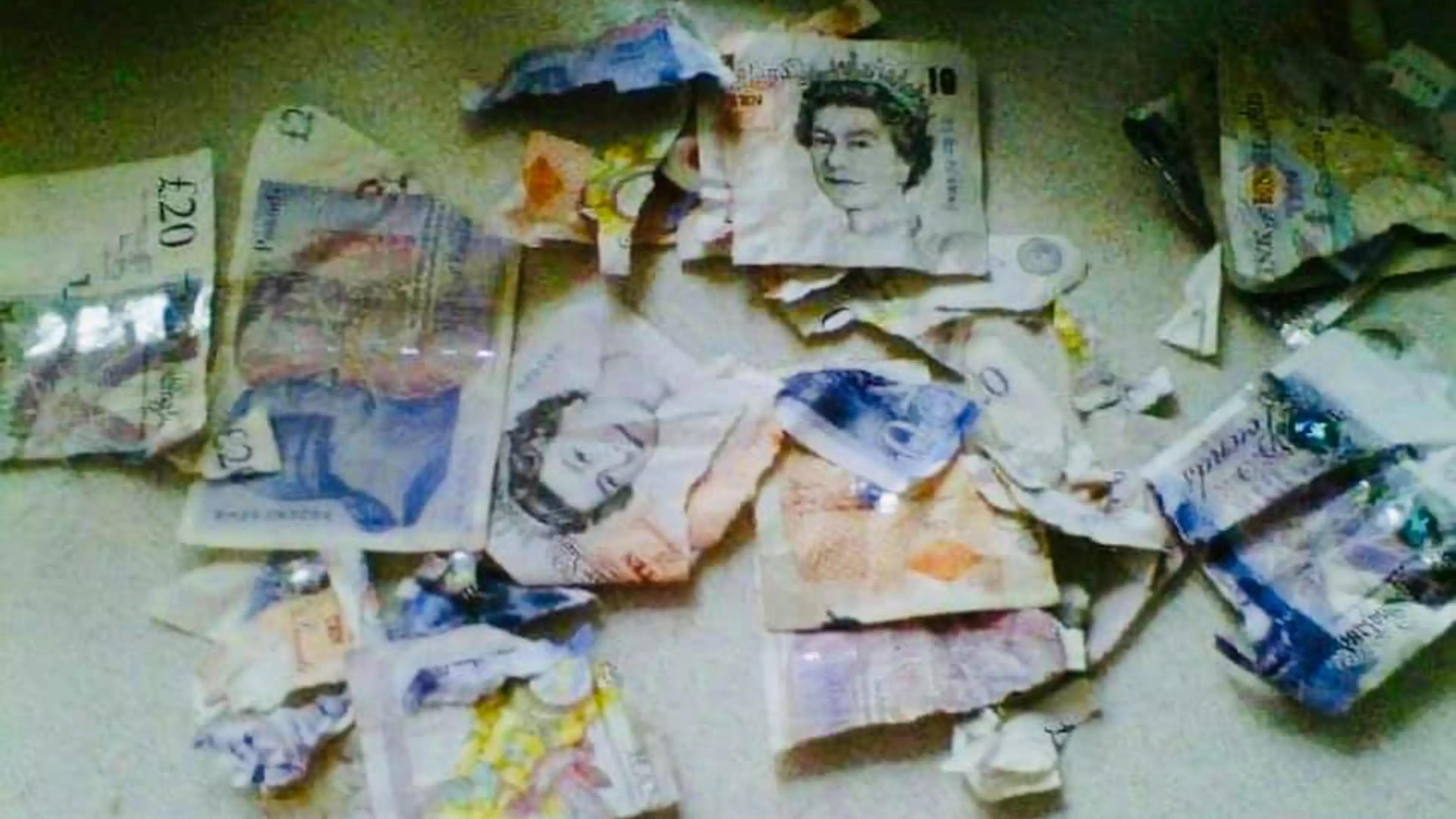 Woman Left Distraught After Naughty Pup Chewed Up £250 Worth Of Bank Notes