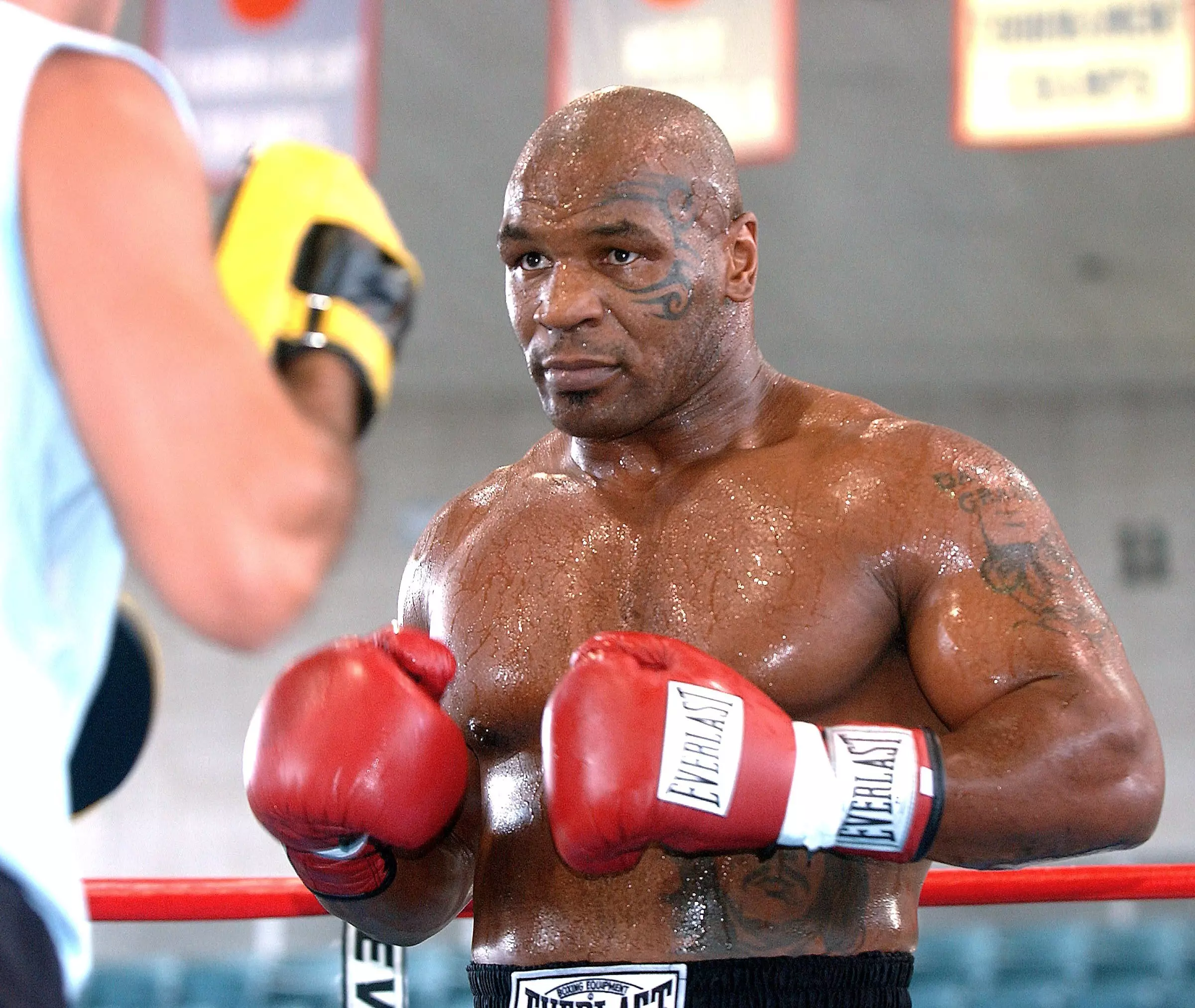 Mike Tyson in 2005.