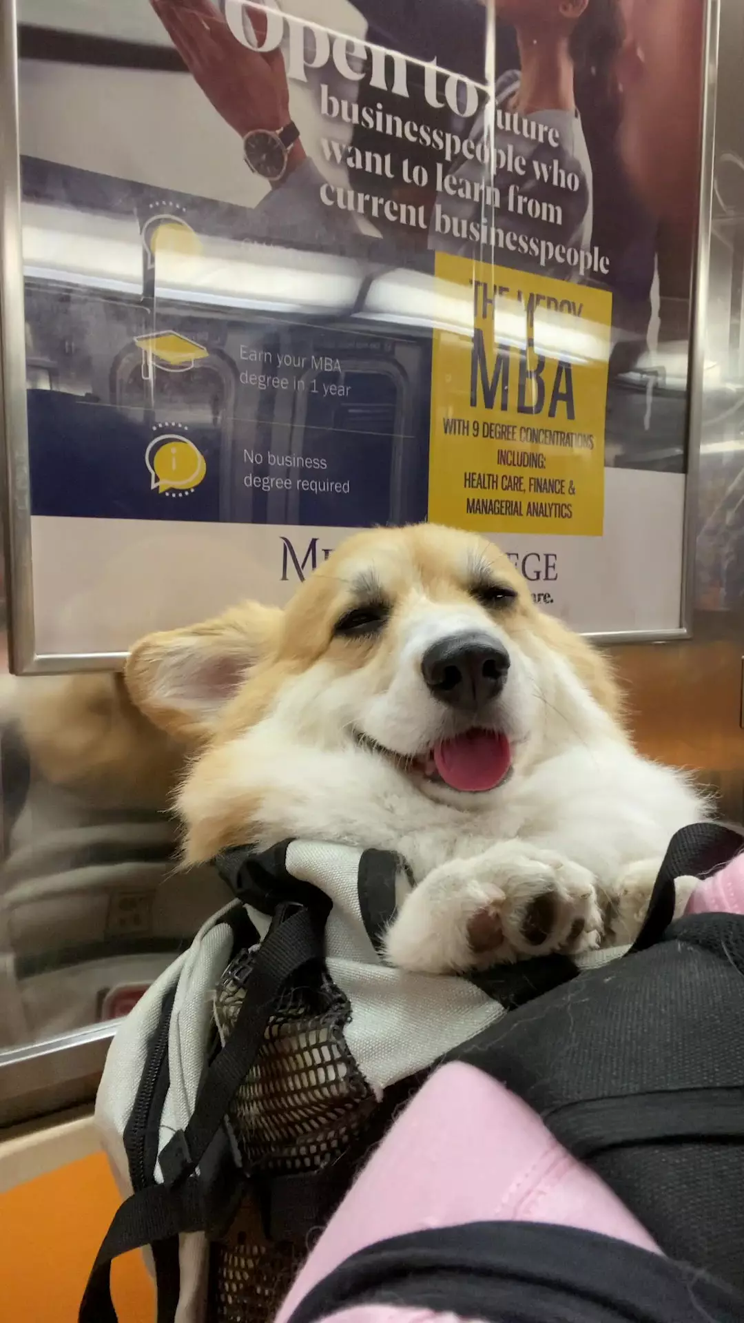 Little Maxine naps, smiles, and interacts with passengers (