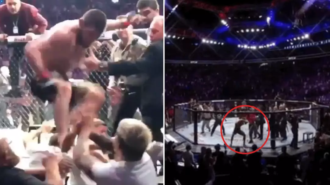 Conor McGregor Gives Detailed Account Of UFC 229 Post-Fight Brawl With Khabib