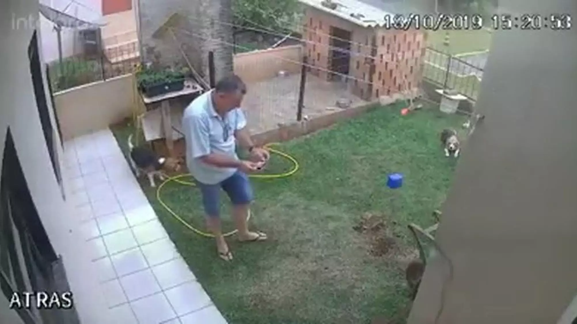 Man Accidentally Blows Up Entire Lawn Trying To Get Rid Of Cockroach Infestation