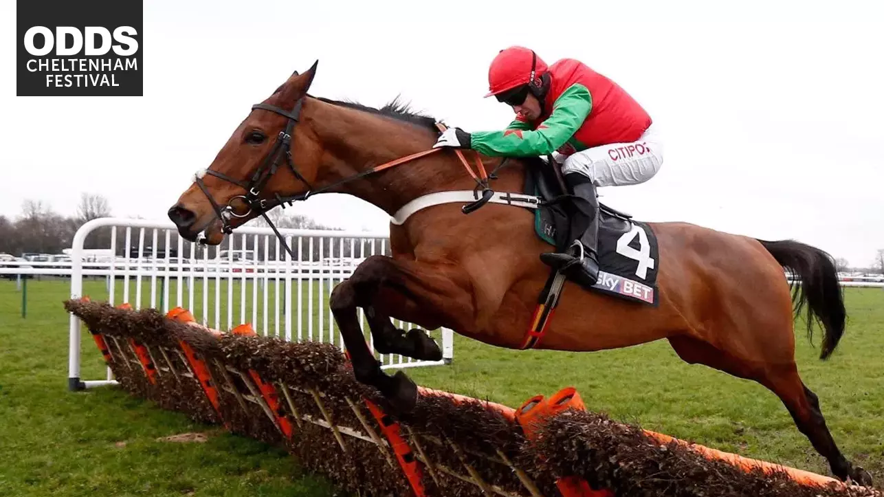 Cheltenham Festival: ODDSbibleRacing's Best Bets For Day Two Of The Action