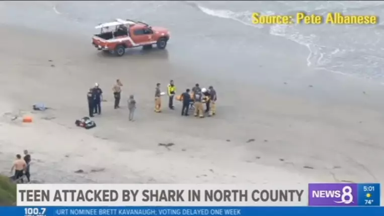 Teen Attacked By Shark While Diving For Lobsters