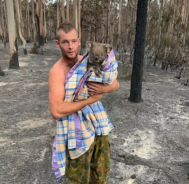 Patrick Boyle with one of the koalas he rescued.
