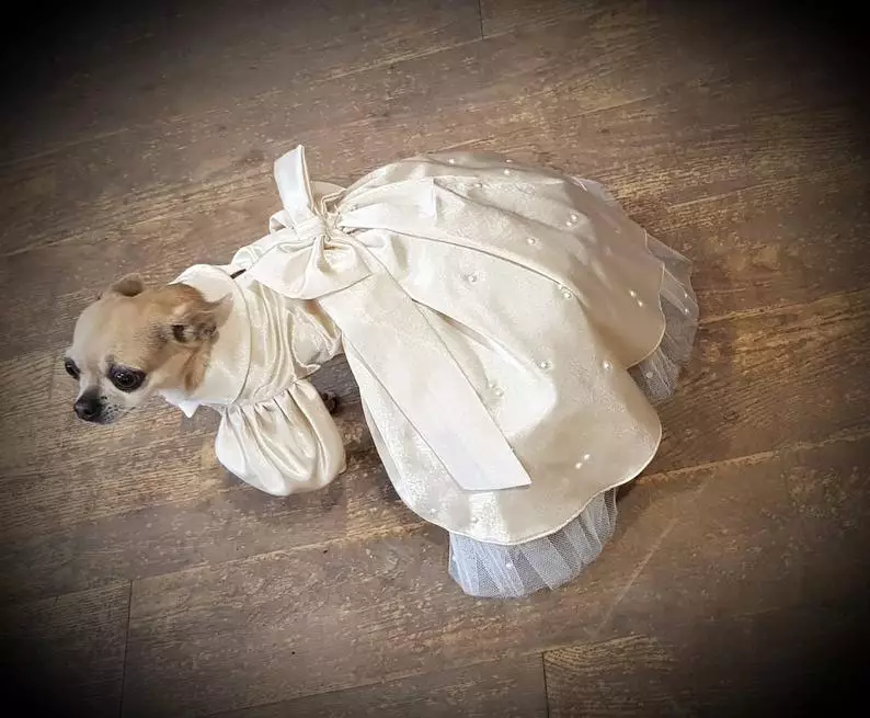 Brides-to-be can purchase adorable 'Doggy Bridesmaid Dress' in a variety of colours. (
