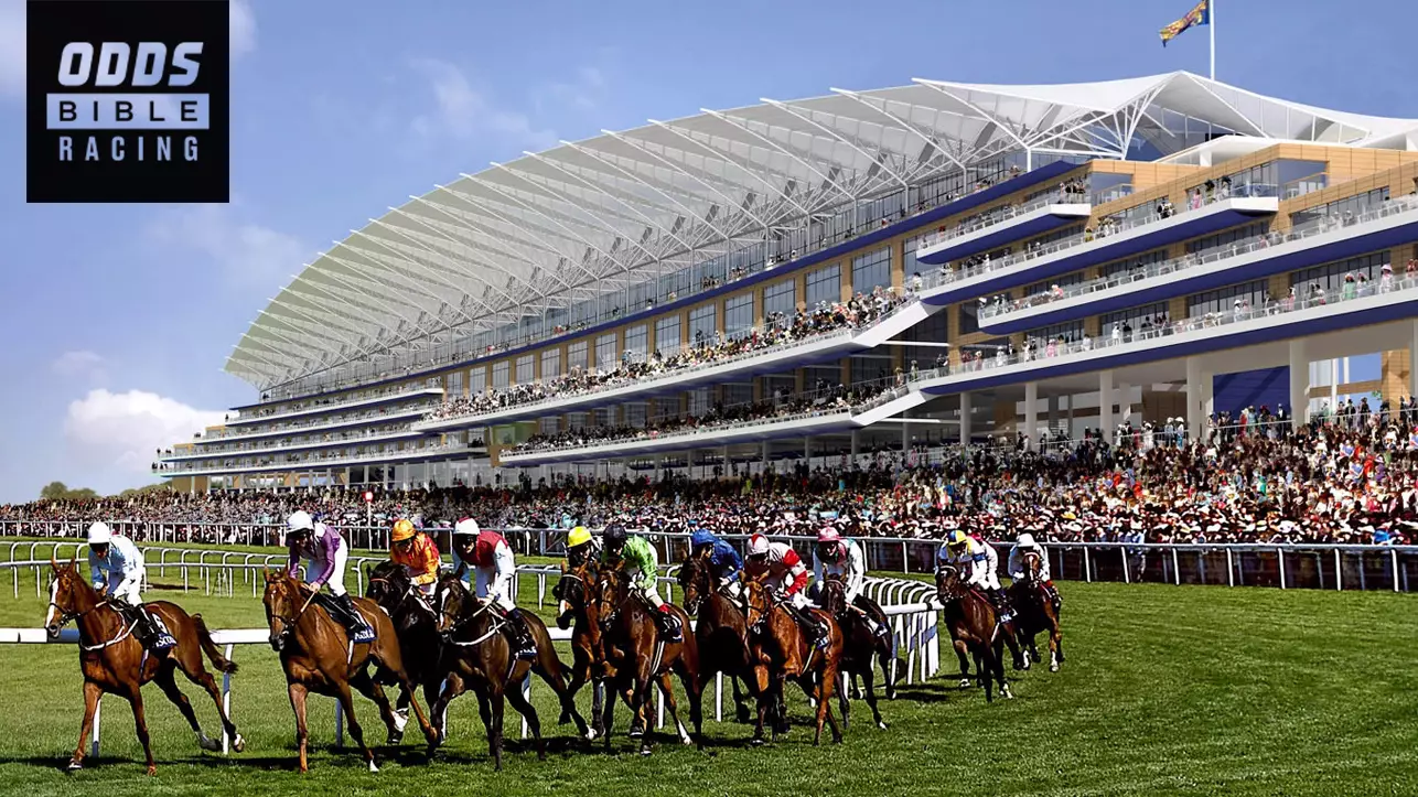 ODDSbibleRacing's Best Bets From Wednesday's Action At Haydock, Kempton, Newcastle and Warwick