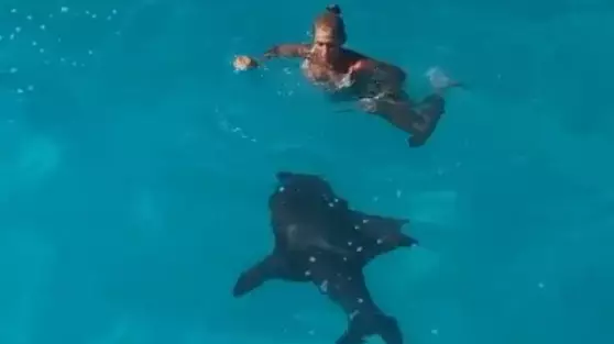 Woman Plunges Off Slide Into Sea Before Spotting Shark Right Beside Her