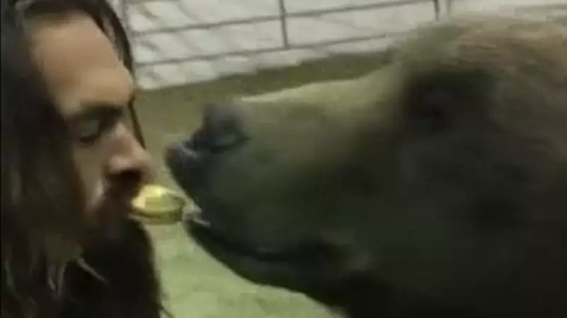 PETA Slams Jason Momoa Over 'Cookie Kiss' Grizzly Bear Video
