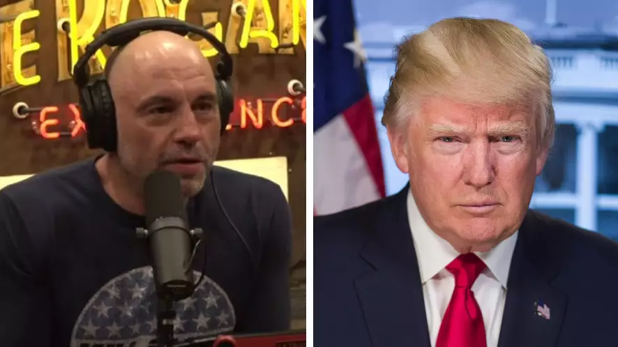 Donald Trump Tells UFC Commentator Joe Rogan To 'Stop Apologising'