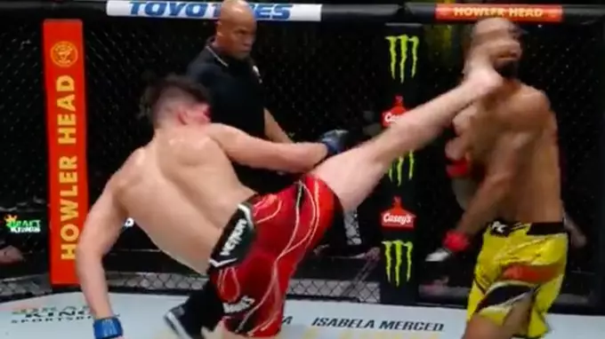UFC Fighter Lands Devastating Spinning Wheel Kick KO, It's Picture Perfect