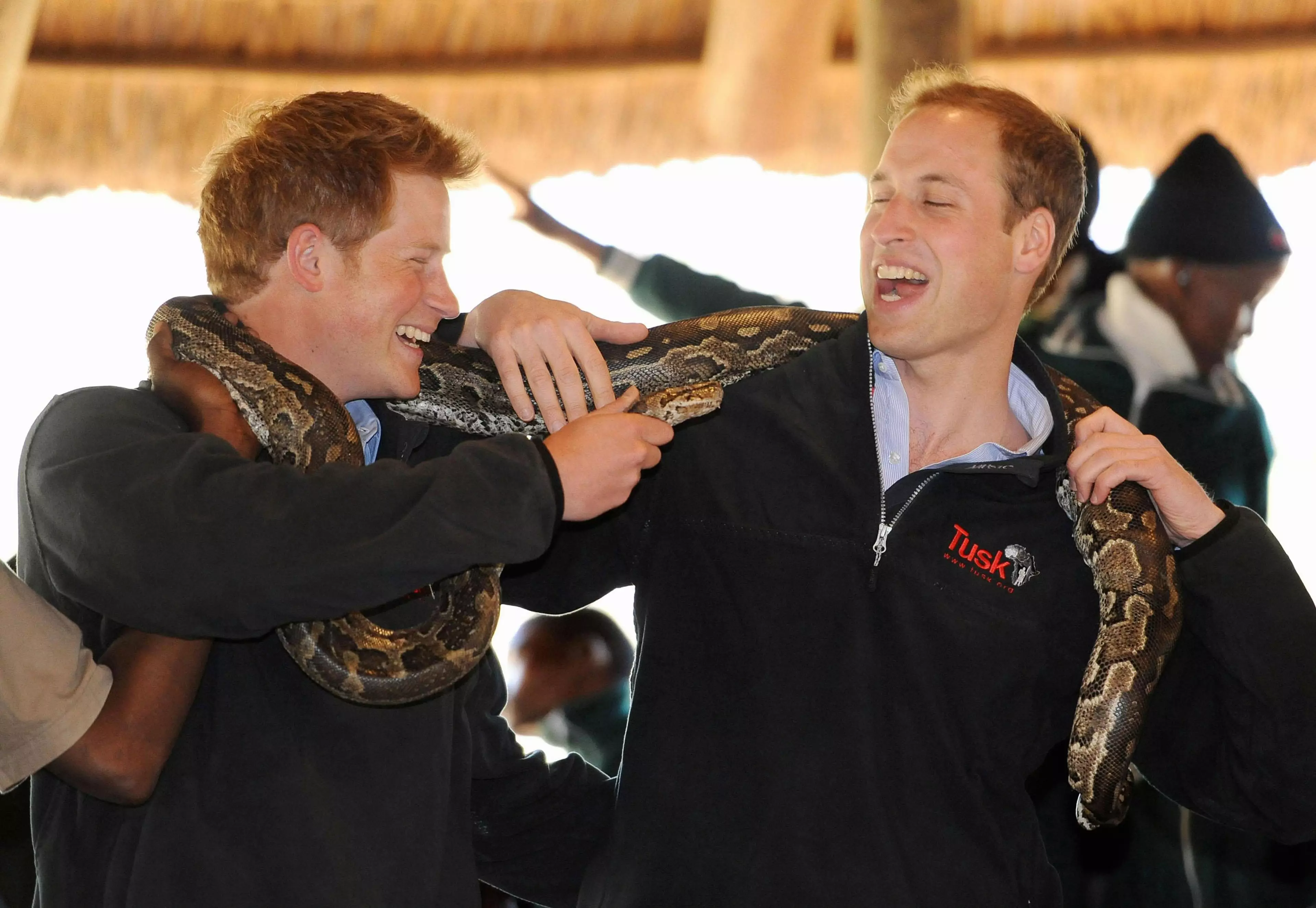 Harry and William in 2010.