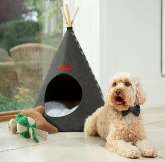My 1st Years has some more high end pet teepees (