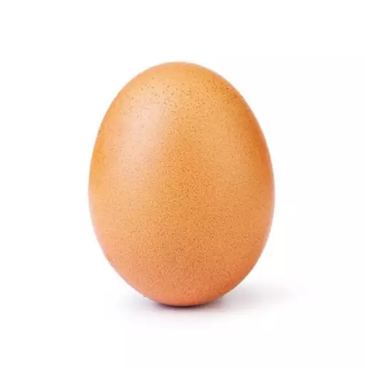 The record-breaking egg.