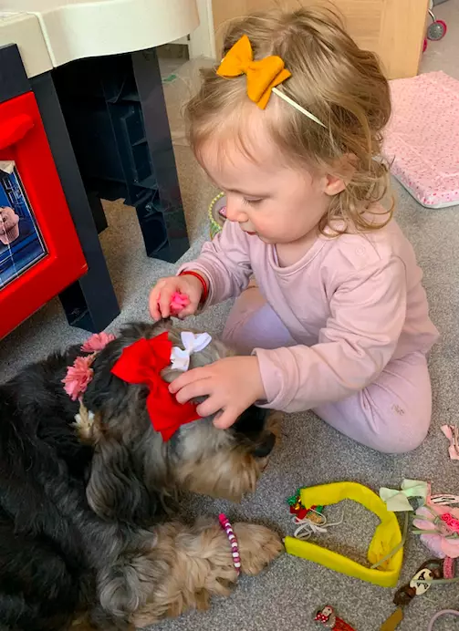 One year old Bella roped her pooch into being her makeover buddy (