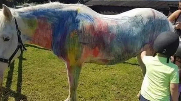 People Are Campaigning To Ban Pony Painting Parties