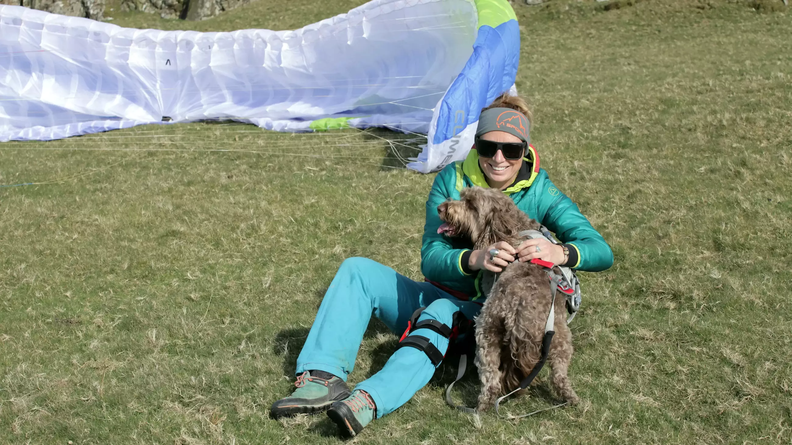 This Paragliding Dog Takes To The Skies With His Owners