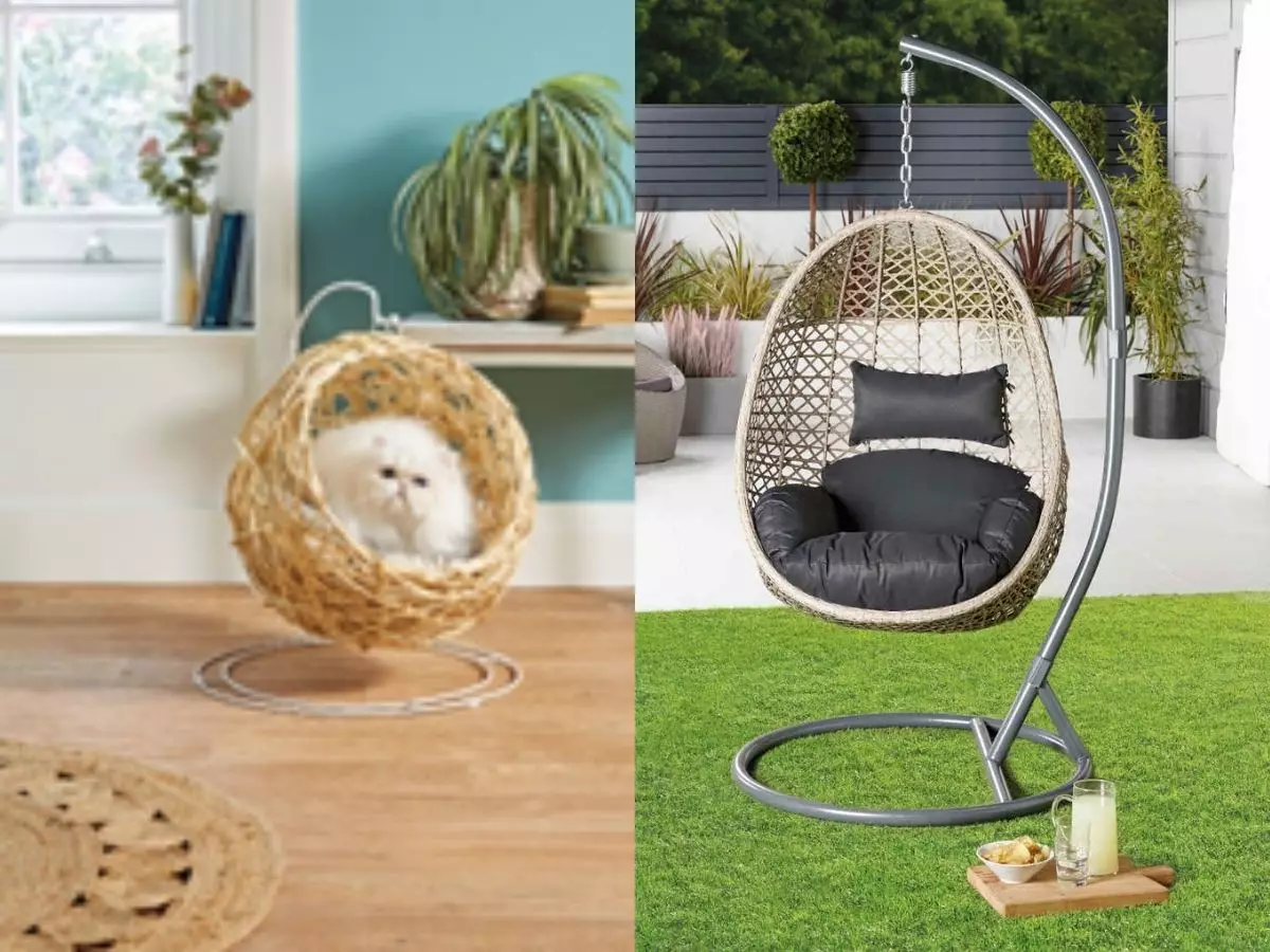 Aldi sells hanging egg chairs for cats and humans '