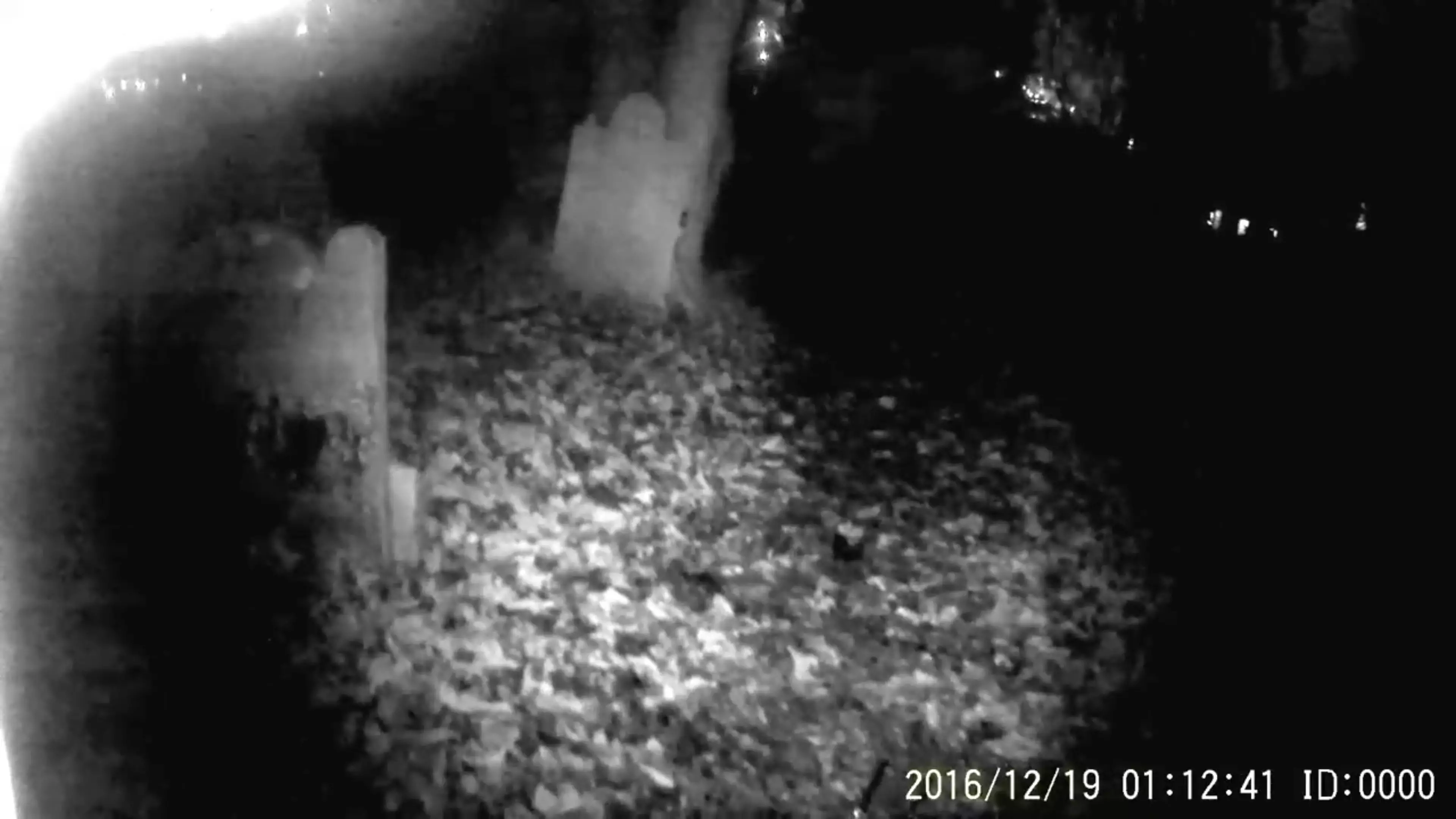 Video Shows 'Ghost' Flying Towards Camera In 800-Year-Old Cemetery 