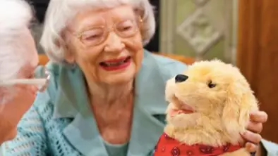 Care Homes Introduce Ageless Innovation Robotic Dogs To Keep Elderly People Company