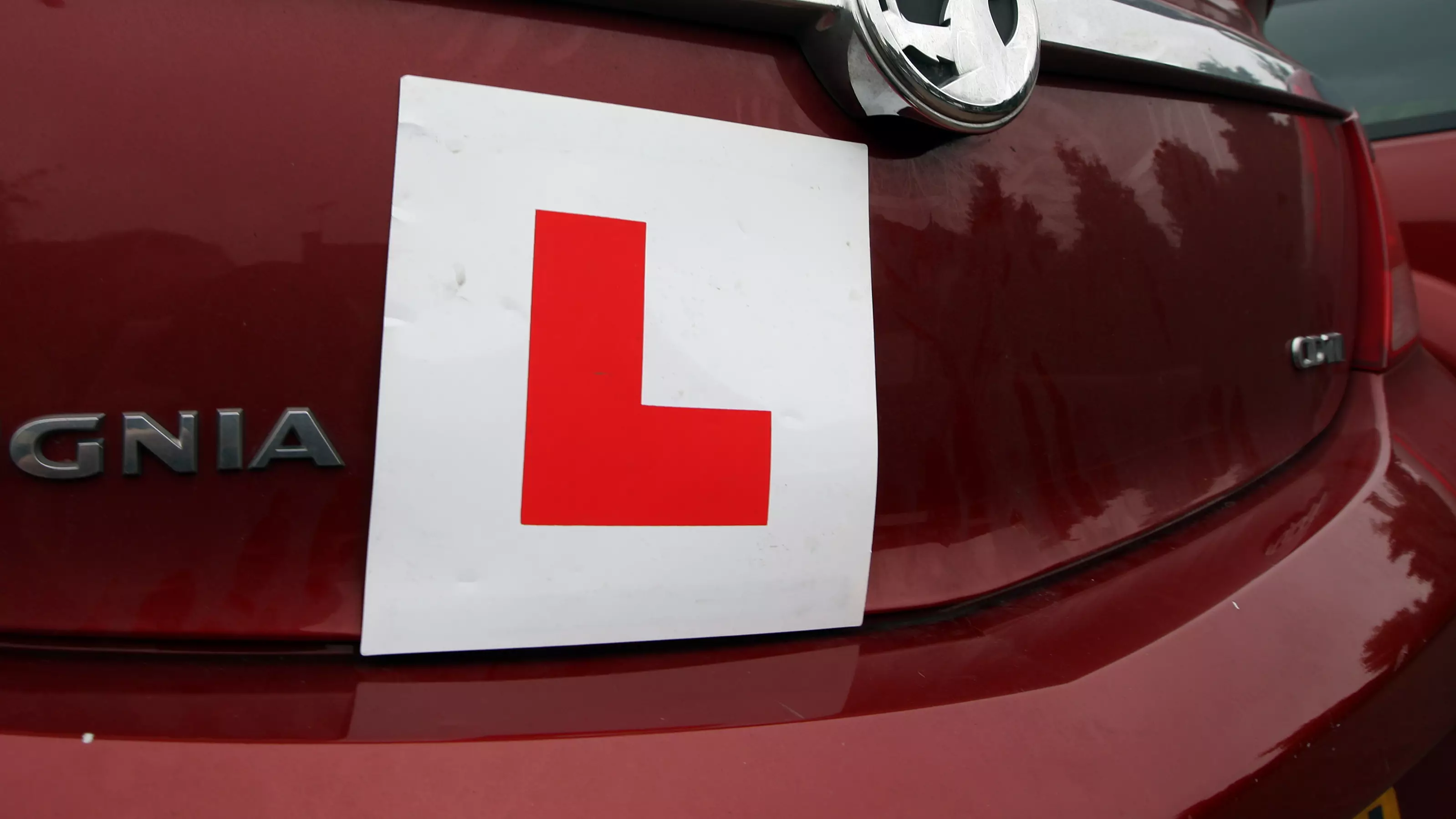 Learner Drivers Urge Government To Extend Theory Pass Certificates Due To Pandemic 