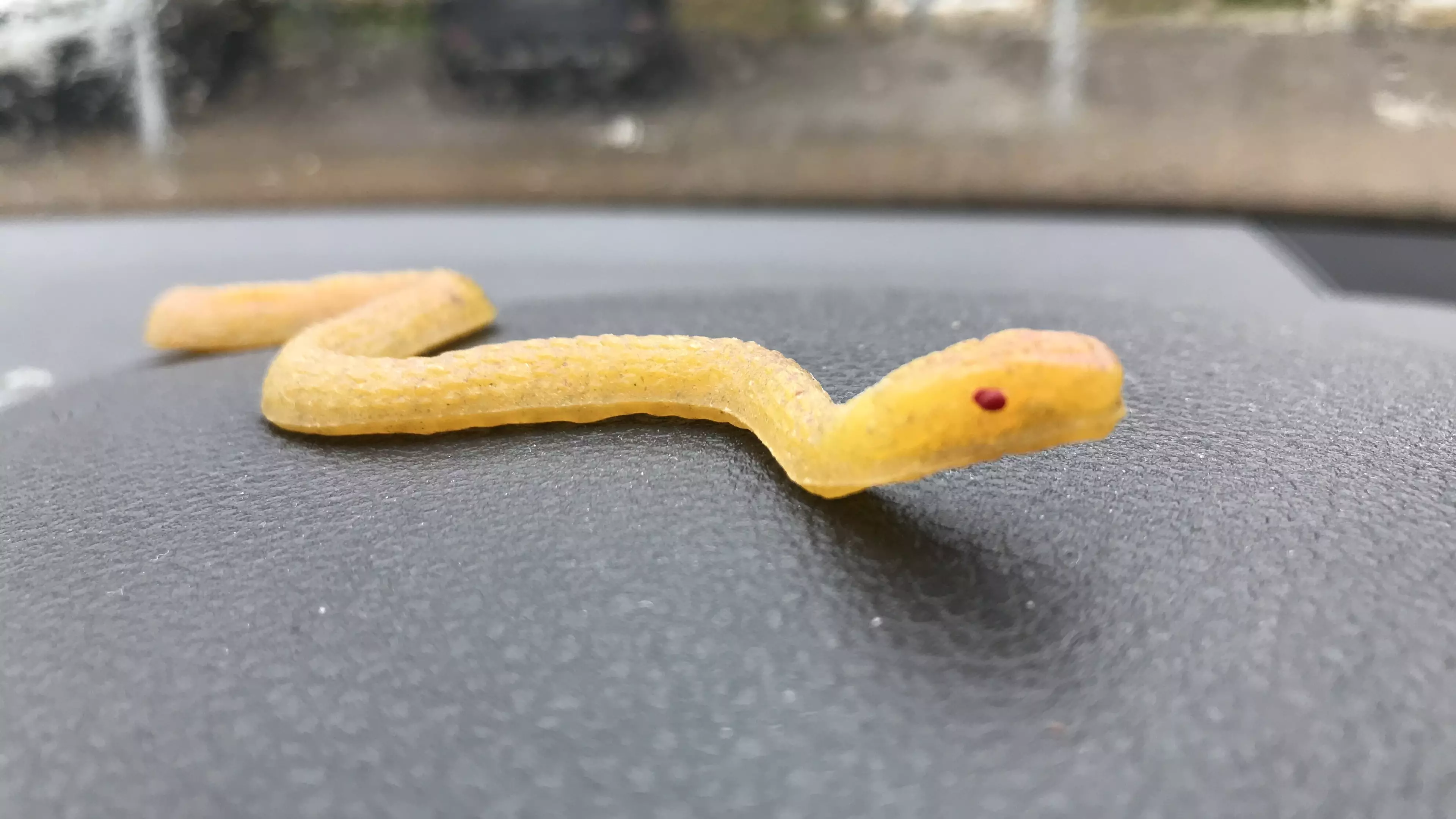 Woman Trapped In Her Flat By 'Snake' That Turned Out To Be A Toy