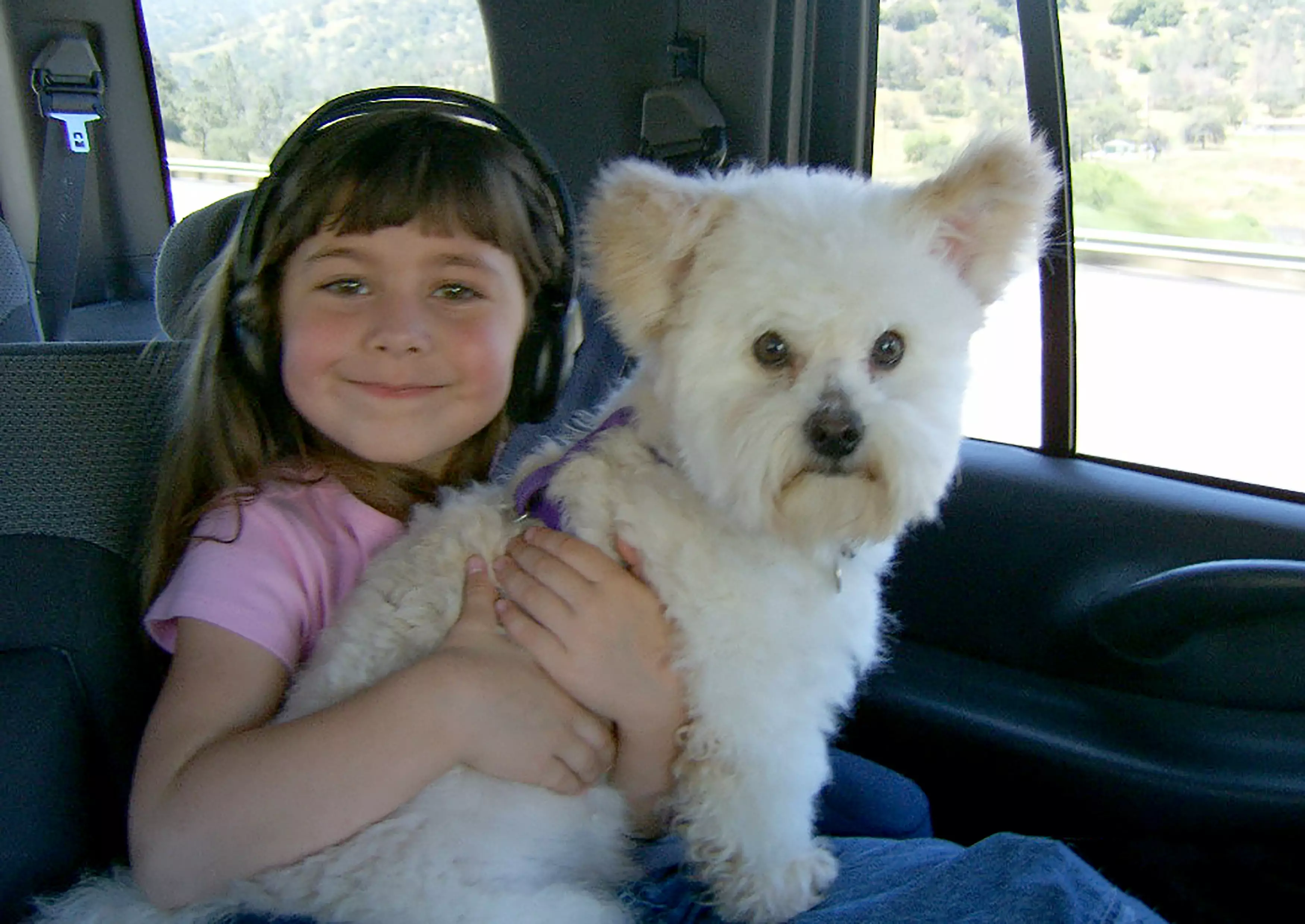 Gizmo with Kira when she was four.